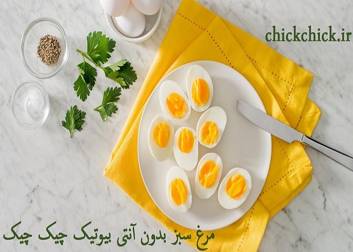 تخم مرغ