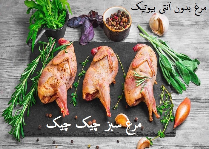 فواید بلدرچین