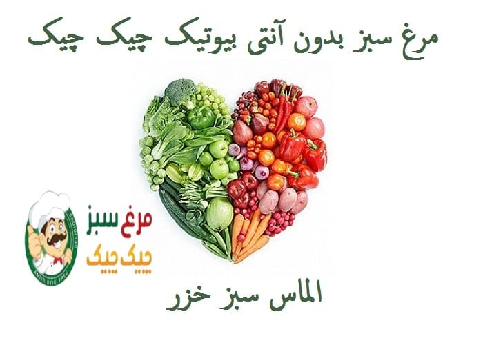 تقویت سیستم ایمنی بدن با مواد غذایی