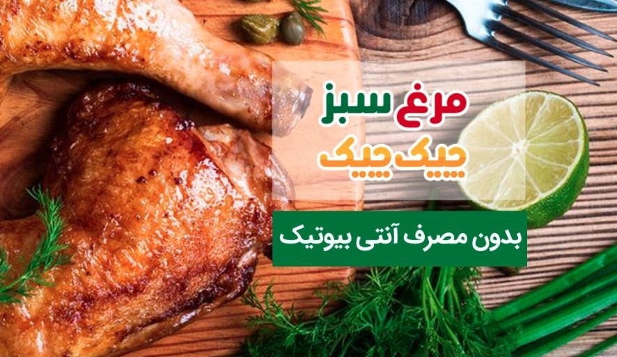 مرغ سبز چیک چیک