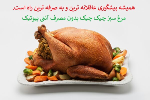 مرغ بریانی خوشمزه